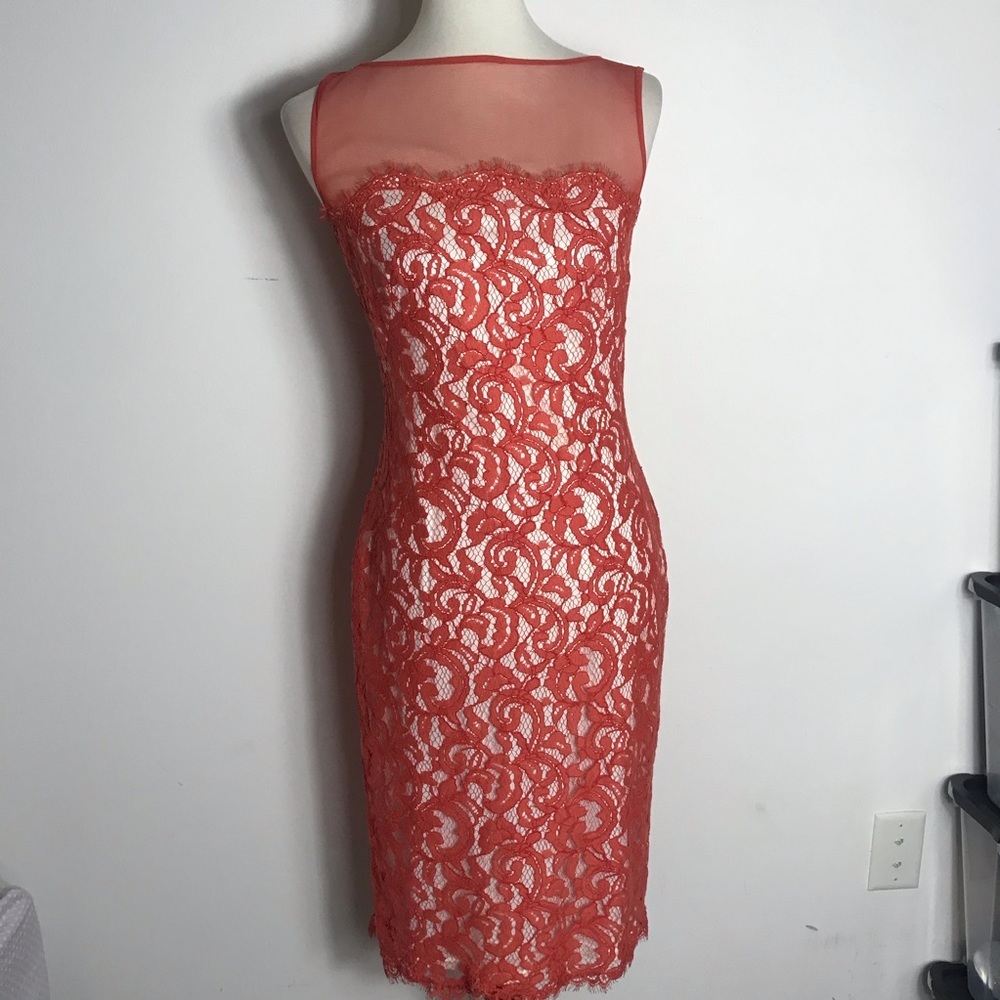 Tadashi Shoji Illusion Lace Sleeveless Dress
